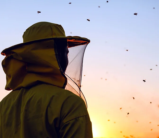 beekeeping equipment in australia